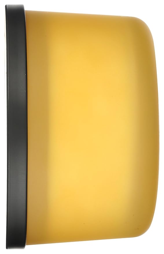 365 by Whole Foods Market, 3-Wick Scented Candle, Yuzu & Prickly Pear, 30 Hour Burn Time, 15 Ounce - Bloomnest