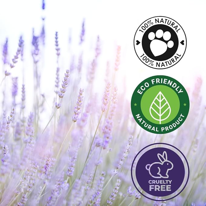 GreenHealth French Lavender Essential Oil – 16 fl oz (473 ml) – 100% Pure & Uncut – Aluminum Bottle w/Plug Cap – French Lavender Oil for Diffusers, Aromatherapy, Candles, Soaps & DIY - Bloomnest