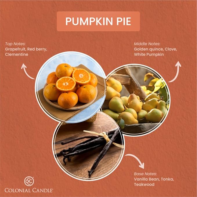 Colonial Candle Pumpkin Pie Scented Jar Candle, 2 Wick, 3.5 oz, Mottled Wax Candle - Bloomnest