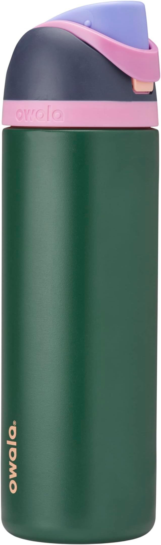 Owala FreeSip Insulated Stainless Steel Water Bottle with Straw for Sports and Travel, BPA-Free Sports Water Bottle, 24 oz, Blue/Green Forest Fairy Owala