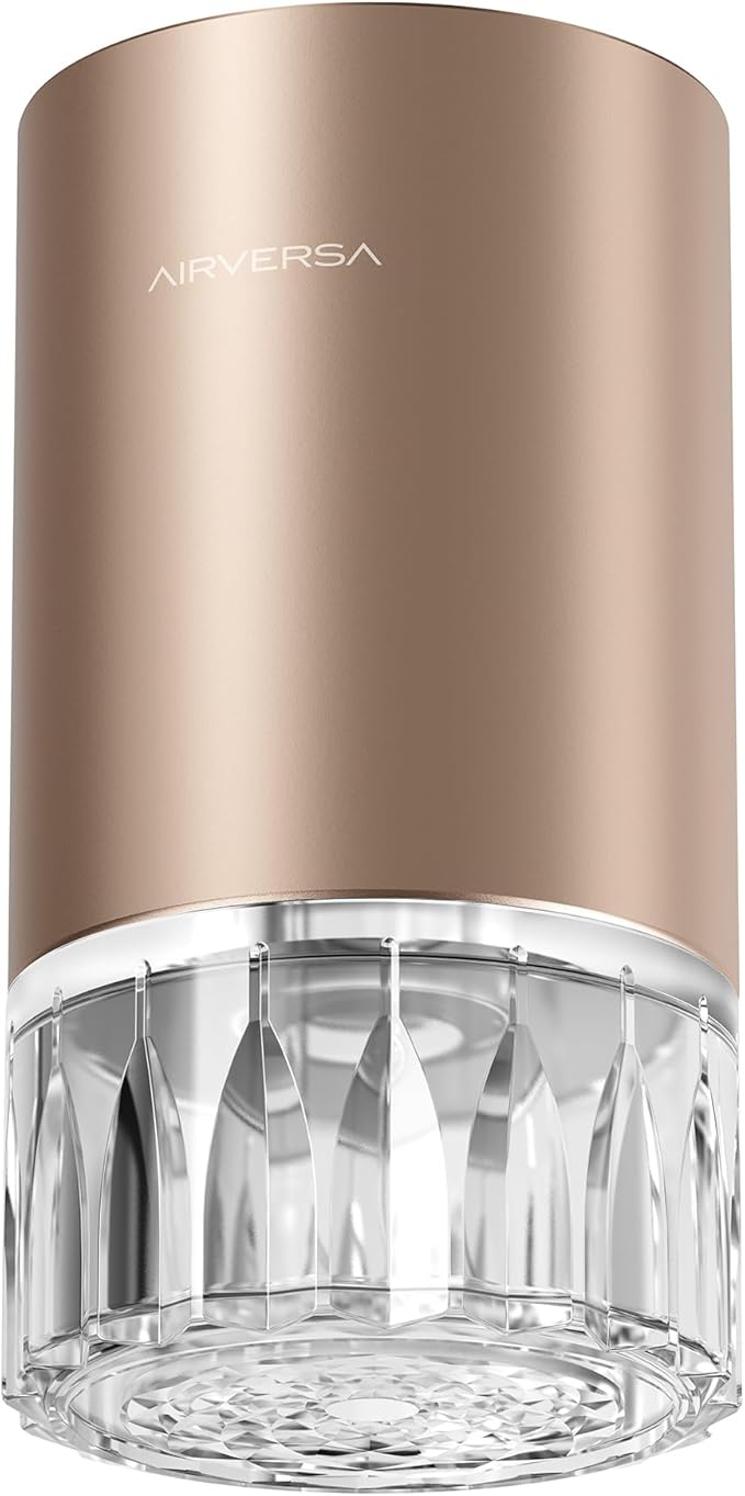 Airversa Waterless Essential Oil Diffuser for Home Room Desk Car Air Freshener Diffuser, Up to 600 sq ft, Battery Operated, Mist Level and Timer Settings, 100mL Capacity, Cold Air, RD1 Titainium - Bloomnest