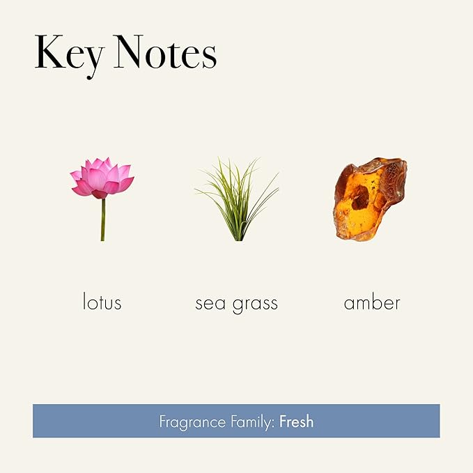 LAFCO New York Classic Reed Diffuser, Sea & Dune - 6 oz - Up to 3 Months Fragrance Life - Reusable Glass Vessel - Natural Wood Reeds - Made in The USA