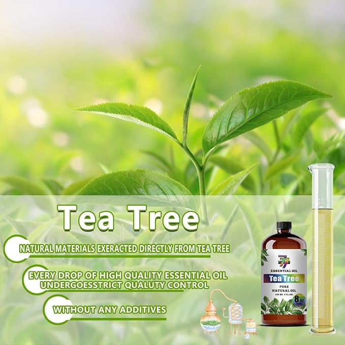 Tea Tree Essential Oil (8 oz/240 ml) — Tea Tree Oils for Aromatherapy, diffusers, humidifiers, Home fragrances, DIY Skin Care, Soap Making, DIY Candle, Yoga, and Meditation - Bloomnest