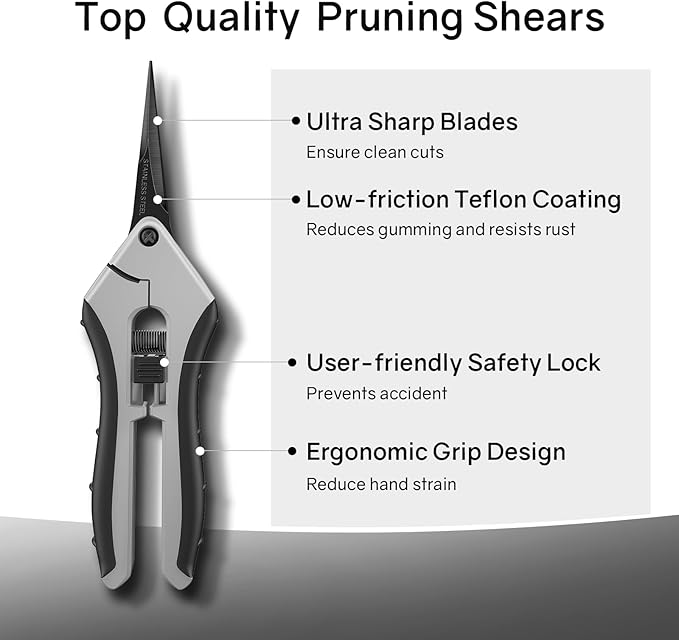 6.5" Ultra Sharp Pruning Shears, 2-Pack Garden Scissors with Stainless Steel Blades, Ergonomic Grip, Rust Resistant, Safety Lock, Trimming Scissors for Plants (1pc Straight & 1pc Curved) - Bloomnest
