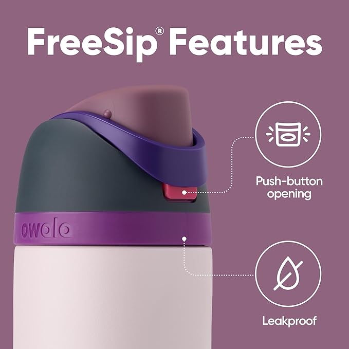 Owala FreeSip Insulated Stainless Steel Water Bottle with Straw for Sports, Travel, and School BPA-Free Sports Water Bottle, 24 oz, Dreamy Field Owala