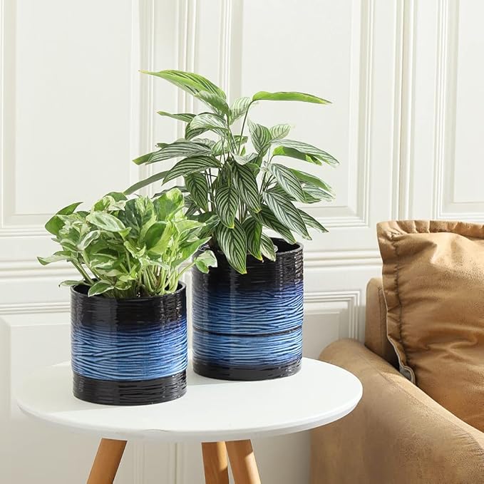 Nihow Self Watering Plant Pot: 6 Inch Ceramic Planter with Drainage Hole & Water Storage Plus for Indoor & Outdoor Plants - Cylinder Round Flower Pot for Succulent/Herbs/Violets - Black & Vivid Blue - Bloomnest