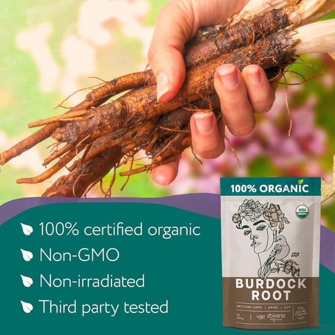 Premium Burdock Root Organic (4oz.) – Great Burdock Tea Loose - Raiz de Bardana Organica – Support Digestion, Liver, Gut Health - Bloomnest