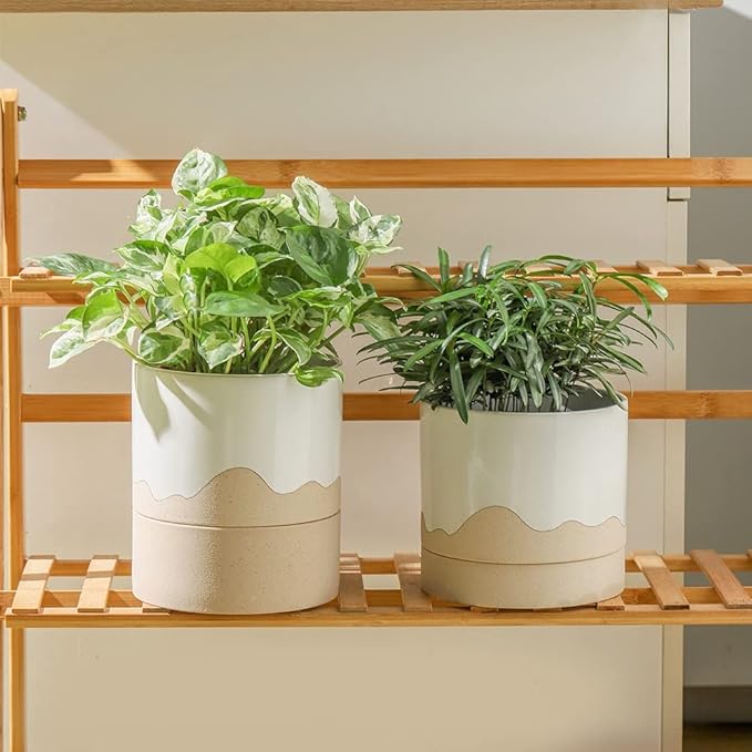 Nihow Self Watering Plant Pot: 6 Inch Ceramic Planter with Drainage Hole & Water Storage Plus for Indoor & Outdoor Plants - Cylinder Round Flower Pot for Succulent/Herbs/Violets - White & Nature - Bloomnest