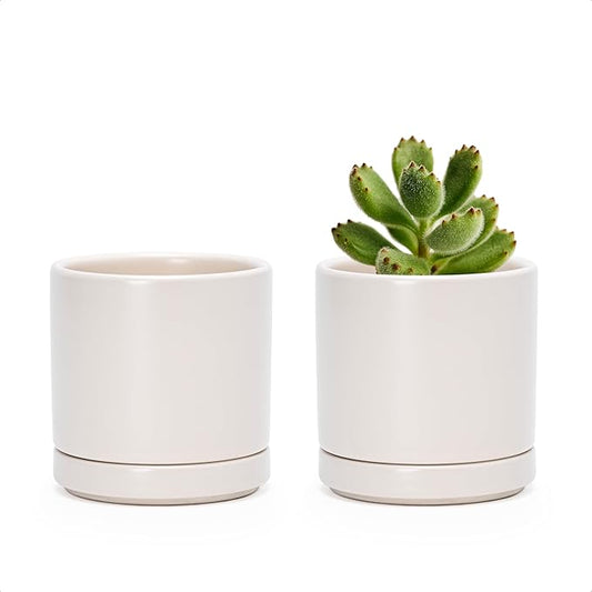D'vine Dev Set of 2 Plants Pots, 3.5 Inch Ceramic Planter Pot for Plants with Drainage Hole and Saucer, Oatmeal, 94-V-A-8 - Bloomnest