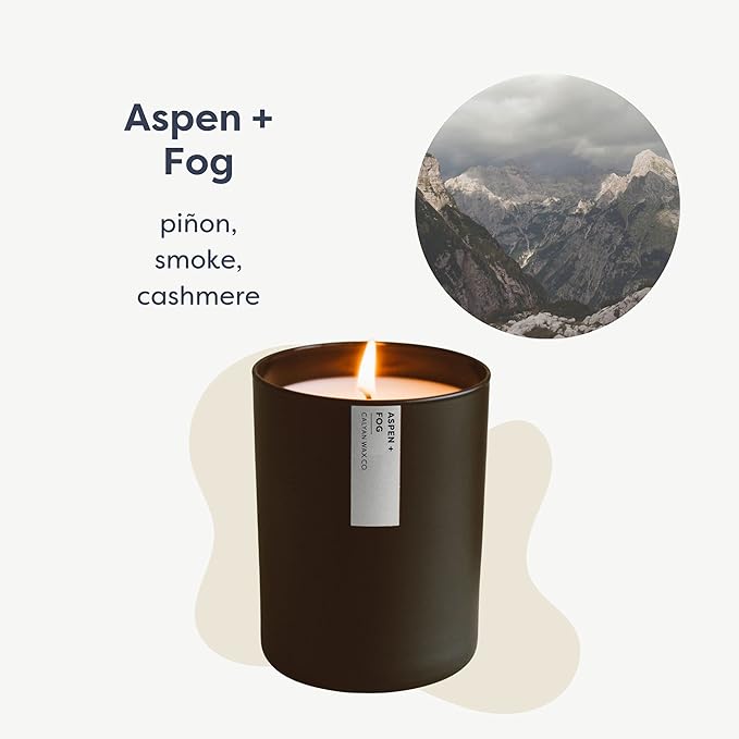 Calyan Wax Co. Aspen & Fog Scented Candle - 75 Hour Burn - Luxury Non Toxic Soy Wax Candles - Long Lasting Black Tumbler Jar Candle for Home - 10.2oz - Bloomnest