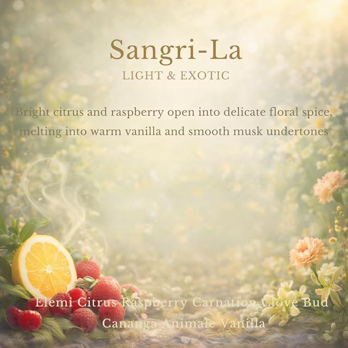 Car Air Freshener Refill for Smart Car Diffuser, 3 x 10ml Fragrance Oil Refills, Vent Clip Compatible, Long Lasting Car Diffuser Refill (Sangri_La) - Bloomnest