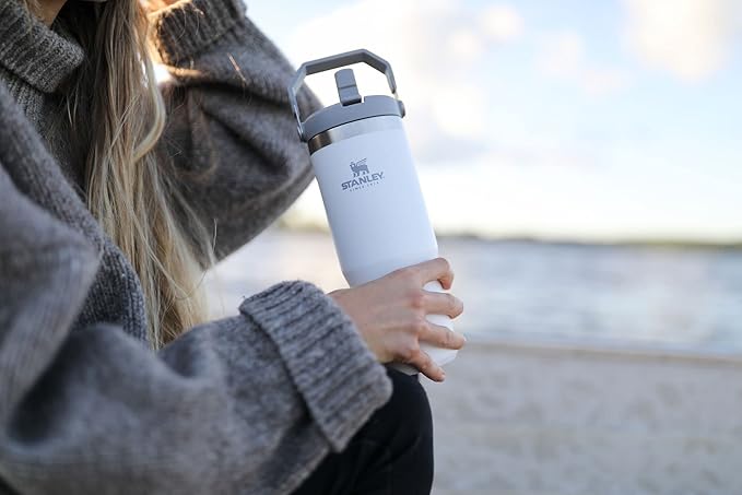 Stanley IceFlow Flip Straw Tumbler with Handle 30 oz | Twist On Lid and Flip Up Straw | Leak Resistant Water Bottle | Insulated Stainless Steel |BPA-Free | Polar - Bloomnest