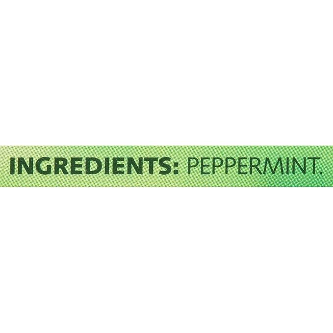 Twinings Pure Peppermint Herbal Tea Bags, 20 Count (Pack of 3) - Bloomnest