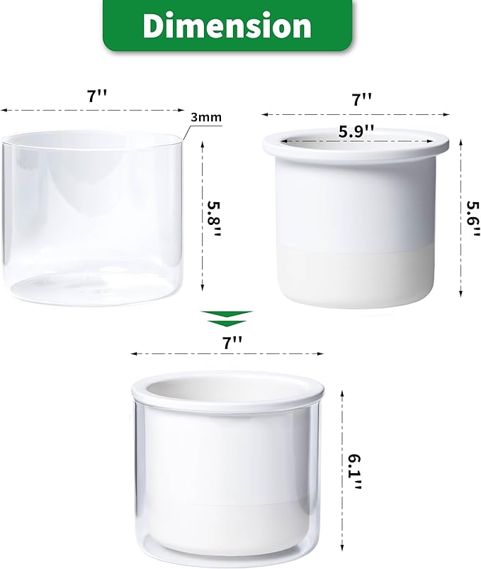 Phoenix Vine 6 Inch Self Watering Planter Pot, Design White Terracotta Pot for Plants, Indoor Cylinder Terra Cotta Pot with Glass Vase, Set of 1, 51-B-F-1 - Bloomnest