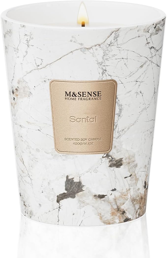 M&SENSE Santal Scented Candles for Home, Lead-Free Wick Highly Scented Jar Candles, 14.1 Oz 80 Hours Lasting Burning Candles Gifts for Women, Relaxing Aromatherapy Candle for Stress Relief - Bloomnest