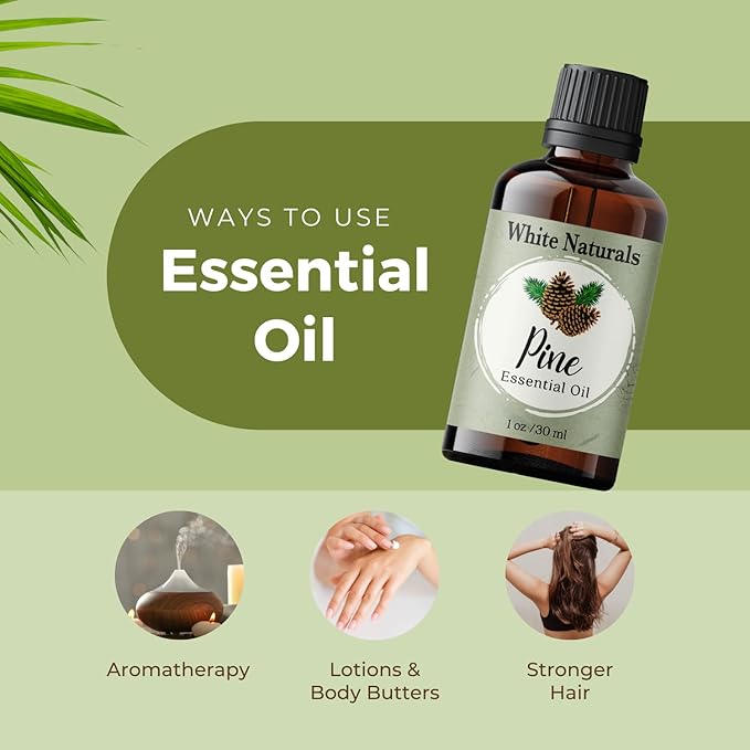 Pure Pine Essential Oil, Woodsy and Fresh to Relax and Cleaner Air - Natural, Undiluted, Premium Therapeutic Grade, Perfect for Aromatherapy, Diffuser, Skin, DIY Candle Making 1 oz Bottle with Dropper - Bloomnest