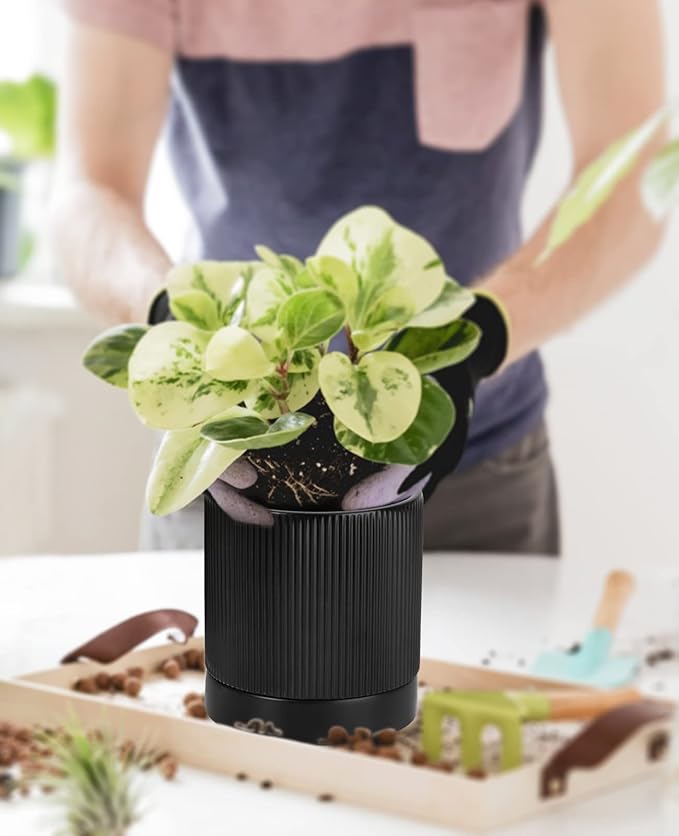 LaDoVita 3 Pack Ceramic Plant Pots 6/5/4 inch, Flowerpot for Indoor Plants with Drainage Holes and Tray, Outdoor Garden Planters, Modern Decorative for Home, Black Vertical Stripes - Bloomnest