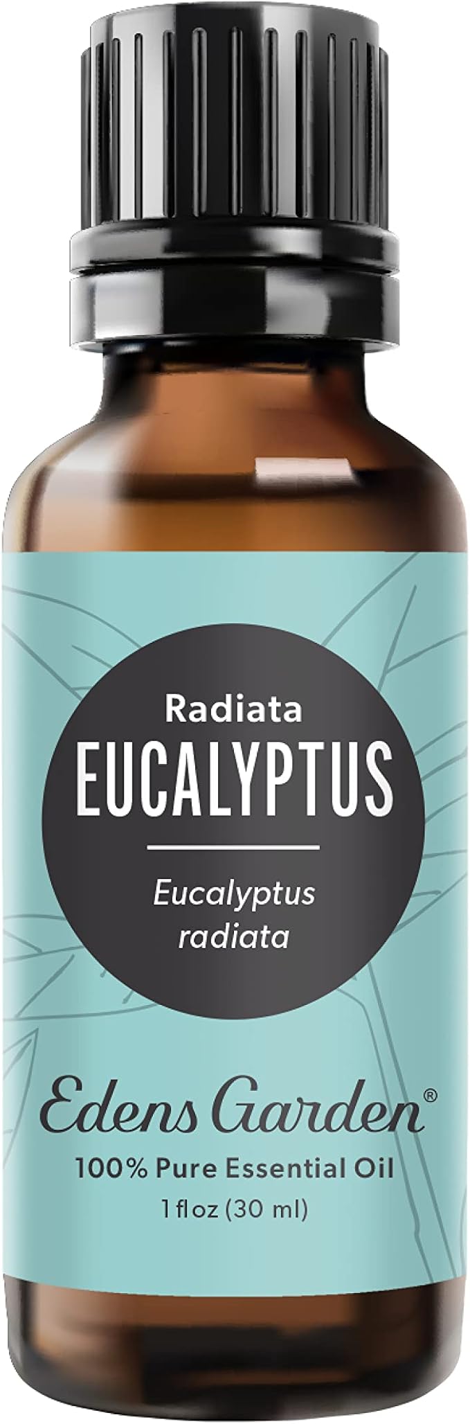 Edens Garden Eucalyptus- Radiata Essential Oil, 100% Pure Therapeutic Grade (Undiluted Natural/Homeopathic Aromatherapy Scented Essential Oil Singles) 30 ml EdensGarden