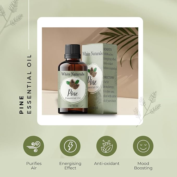 Pure Pine Essential Oil, Woodsy and Fresh to Relax and Cleaner Air - Natural, Undiluted, Premium Therapeutic Grade, Perfect for Aromatherapy, Diffuser, Skin, DIY Candle Making 1 oz Bottle with Dropper - Bloomnest