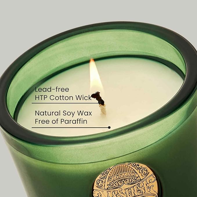 M&SENSE Natural Soy Candle | Eucalyptus Cedarwood& Emerald Green | 9.2 oz, 50H Burn Time | Luxury Scented Candle for Relaxation, Gifting, Home Décor | Ideal for Bedroom, Office, Party Ambiance - Bloomnest