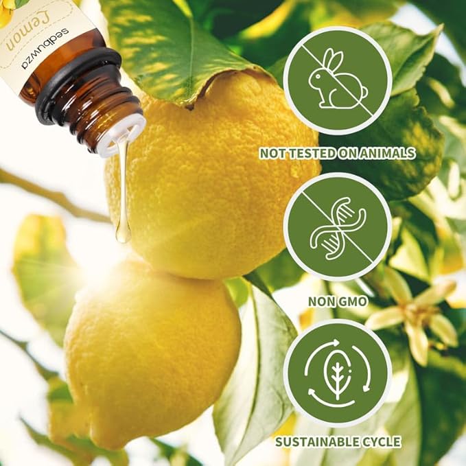 Sedbuwza Rose Lemon Essential Oil Set, Rose Fragrance Oil Lemon Scent Oil Set for Diffuser, Aromatherapy, Massage, Soap, Candle Making 2 x 10 ml Sedbuwza