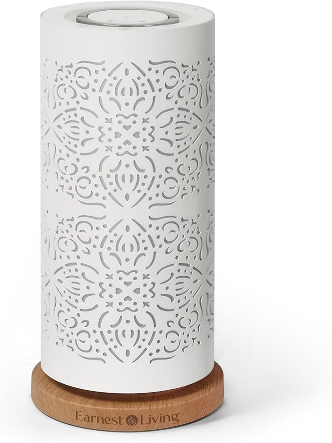 Earnest Living Waterless Diffuser 100ml Nebulizing Diffusion System for Large Ambient Space Studio Home Office Hotel Spa - Bloomnest