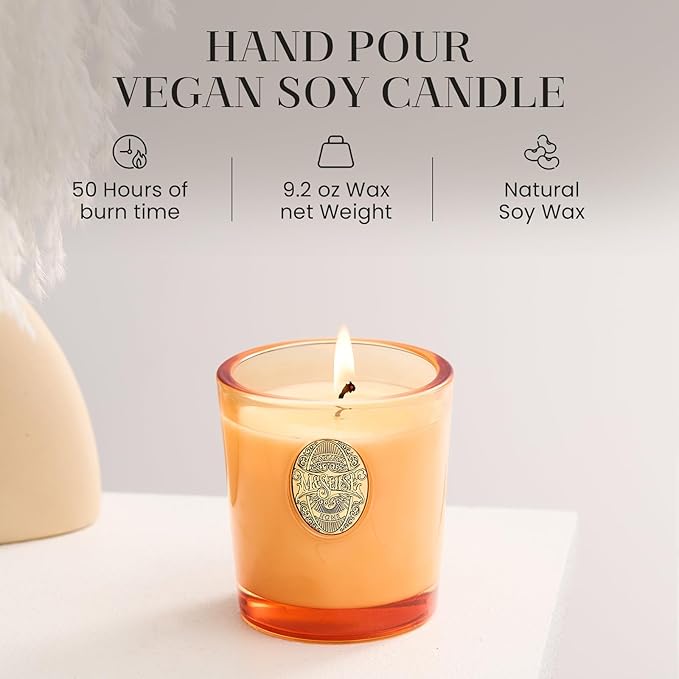 M&SENSE Natural Soy Candle | Basil Ginger & Orange | 9.2 oz, 50H Burn Time | Luxury Scented Candle for Relaxation, Gifting, Home Décor | Ideal for Bedroom, Office, Party Ambiance - Bloomnest