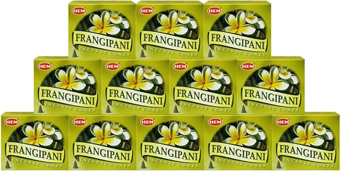 TRUMIRI Incense Cone Holder Bundle with Hem Firangipani Incense Cones - Pack of 12 (Approx 120 Cones)
