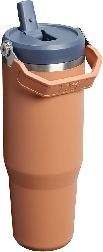 Stanley IceFlow 2.0 Flip Straw Tumbler with Handle 30 oz | Twist On Lid and Flip Up Straw | Leak Resistant Water Bottle | Insulated Stainless Steel | BPA-Free | Toast - Bloomnest
