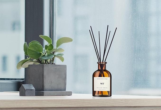 WEALD TRIBE Reed Diffuser Set for Bathroom Air Fresheners, Oil Diffuser Sticks | Sage & Sea Salt Scent 4.0 fl oz Home Fragrance with Sticks Defusers | House Bedroom Office Shelf Decor - Bloomnest