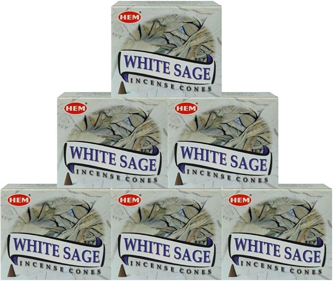 TRUMIRI Incense Cone Holder Bundle with Hem White Sage Incense Cones - Pack of 6 (Approx 60 Cones) TRUMIRI