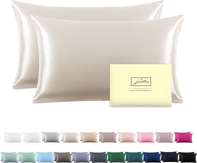 Silk Pillow Cases 2 Pack,Soft Breathable and Sliky Queen Size Pillow Cases Set of 2,Natural Mulberry Silk Pillowcase Set of 2 for Hair and Skin with Hidden Zipper (Beige,20"X 30",2pcs) - Bloomnest