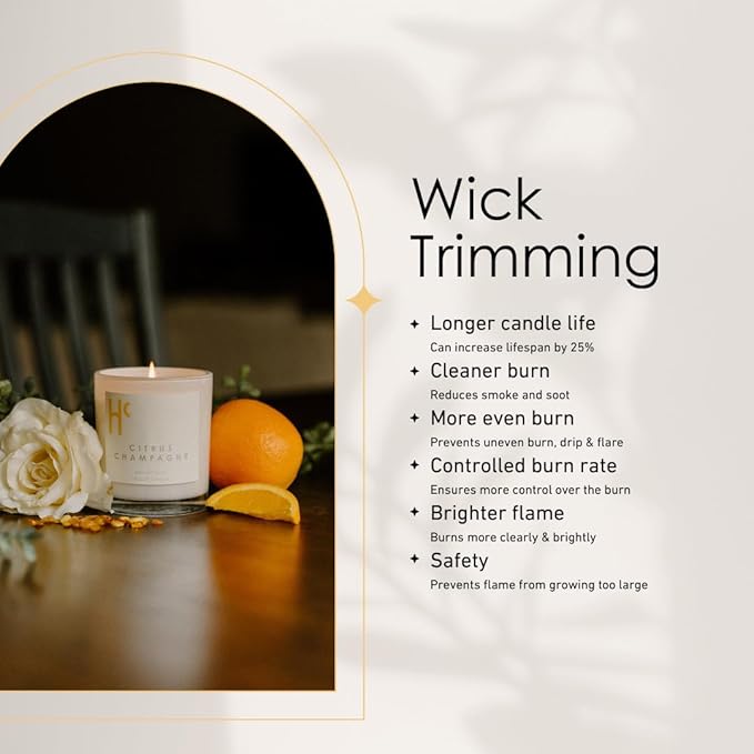 Citrus Champagne Single Wick Soy Candles, Luxury Scented Candles for Home - Up to 60 Hour Burn Time, Cruelty-Free Soy Wax Blend - Citrus Fragrance, Notes of Berries & Jasmine (9 oz) - Bloomnest