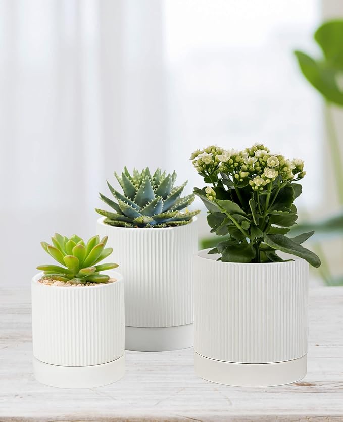 LaDoVita 3 Pack Ceramic Plant Pots 6/5/4 inch, Flowerpot for Indoor Plants with Drainage Holes and Tray, Outdoor Garden Planters, Modern Decorative for Home, White Vertical Stripes - Bloomnest