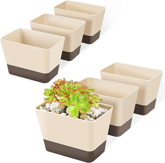 GREANER Indoor Planter Pots with Drainage, 6 Pack 6x3.8 Inch Herb Window Boxes with Saucer, Modern Plastic Plant Flower Succulent Cactus Pots for Windowsill, Garden Balcony, Home Office Outdoor Decor - Bloomnest