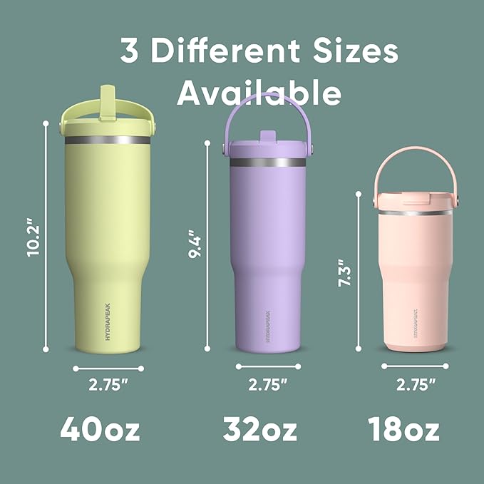 Hydrapeak Nomad 32 oz Tumbler with Handle and Straw Lid, Leakproof, Double Insulated, 32oz Cup Stainless Steel (Pale Sage) - Bloomnest