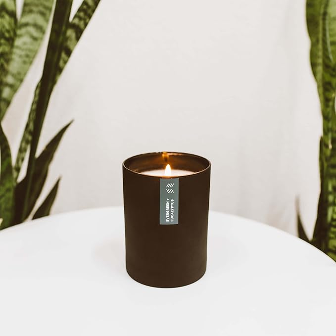 Calyan Wax Co. Evergreen & Eucalyptus Scented Candle - 75 Hour Burn - Luxury Non Toxic Soy Wax Candles - Long Lasting Black Tumbler Jar Candle for Home - 10.2oz - Bloomnest