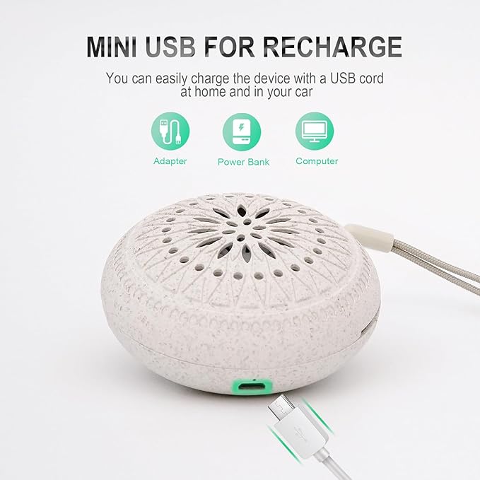 Travel Sized Portable Mini Diffuser for Essential Oils Multifunction Waterless No Sound Mini Aromatherapy Diffuser for Bedroom Office Baby Room Car Aromatherapy - Bloomnest