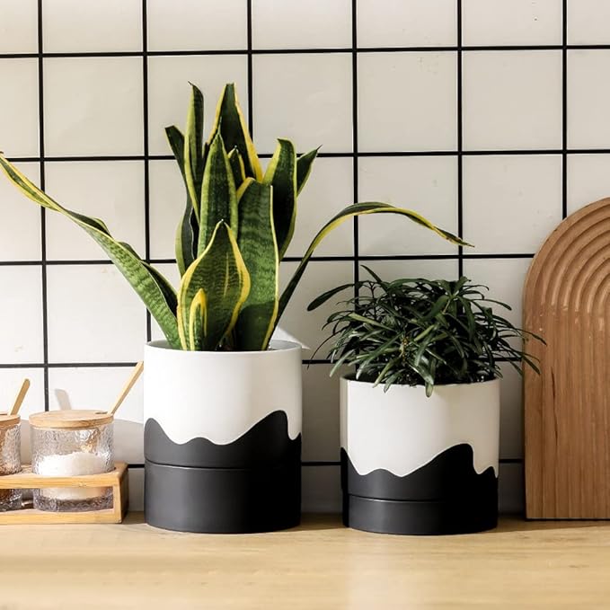 Nihow Self Watering Plant Pot: 6 Inch Ceramic Planter with Drainage Hole & Water Storage Plus for Indoor & Outdoor Plants - Cylinder Round Flower Pot for Succulent/Herbs/Violets - White & Wave Black - Bloomnest