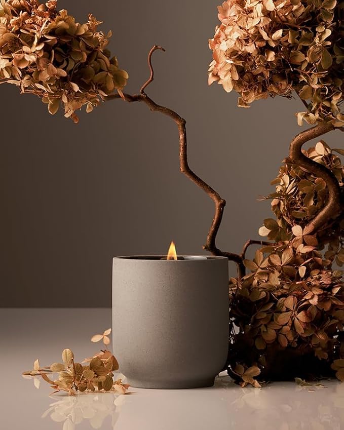 Homecourt Luxury Scented Candle, Cece Scent, 60-Hour Burn Time, Soy Wax Blend, Organic Cotton Wick, Kiln-Fired Reusable Ceramic Vessel, 8 Oz, 2.0 - Bloomnest