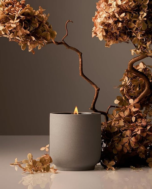 Homecourt Luxury Scented Candle, Cece Scent, 60-Hour Burn Time, Soy Wax Blend, Organic Cotton Wick, Kiln-Fired Reusable Ceramic Vessel, 8 Oz, 2.0 - Bloomnest