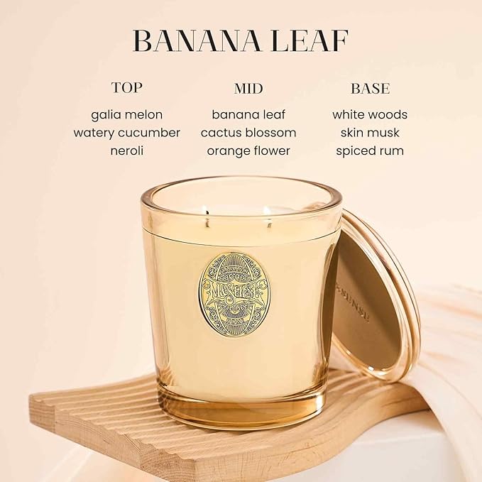 M&SENSE Large Two-Wick Soy Candle | Banana Leaf & Gold | 19.8 oz, 120H Burn Time | Luxury Scented Candle for Relaxation, Gifting, Home Décor | Ideal for Bedroom, Office, Party Ambiance - Bloomnest