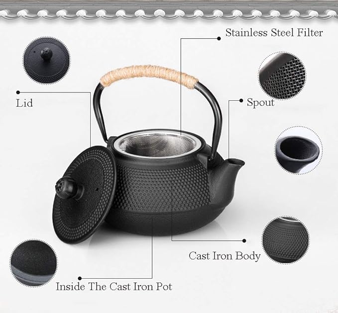 HwaGui Japanese Tetsubin Cast Iron Teapot, Iron Tea Pot with Infuser for Loose Tea, Cast Iron Tea Kettle Stovetop Safe, Teapot Coated with Enameled Interior, 600ml/20oz - Bloomnest