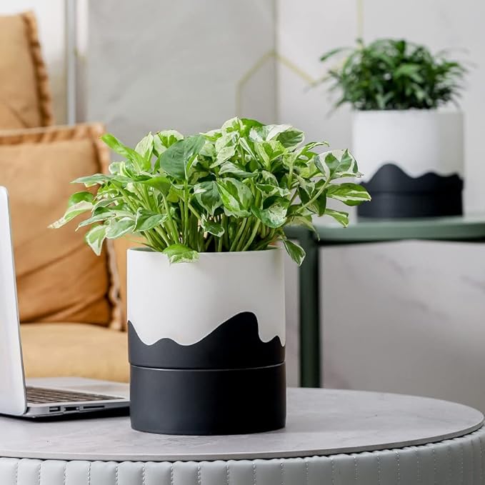 Nihow Self Watering Plant Pot: 6 Inch Ceramic Planter with Drainage Hole & Water Storage Plus for Indoor & Outdoor Plants - Cylinder Round Flower Pot for Succulent/Herbs/Violets - White & Wave Black - Bloomnest