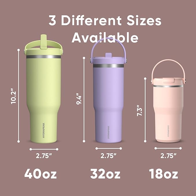 Hydrapeak Nomad 32 oz Tumbler with Handle and Straw Lid, Leakproof, Double Insulated, 32oz Cup Stainless Steel (Rosewood) - Bloomnest