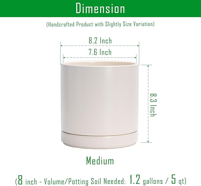 D'vine Dev Set of 2 Plants Pots, 8.2 Inch Ceramic Planter Pot for Plants with Drainage Hole and Saucer, Oatmeal, 94-V-D-8 - Bloomnest