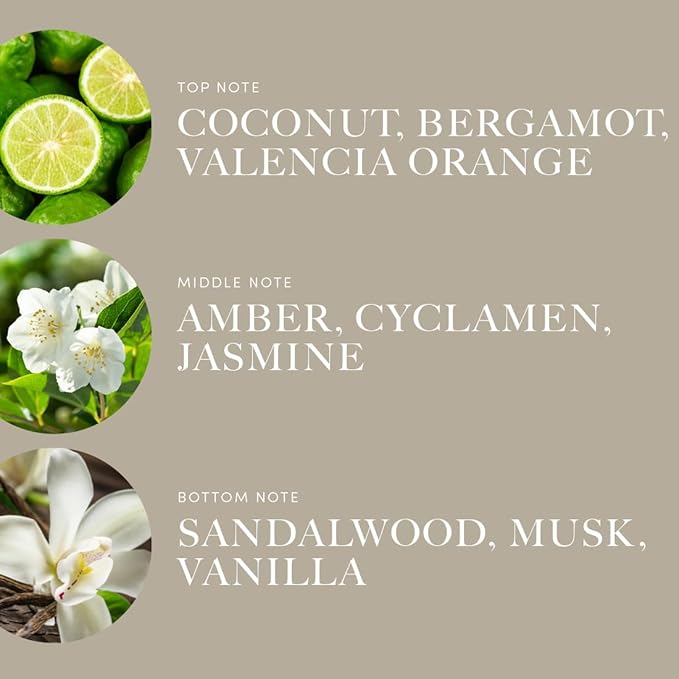 Aroma360 | Disney Down in New Orleans Fragrance Oil Blend | The Princess and The Frog | Princess Tiana | Aromatherapy Scent Diffuser Oil | Coconut Bergamot Valencia Orange 1.7 fl oz 50mL - Bloomnest