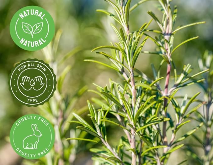 2 Bottles - 16 fl oz Rosemary Essential Oil (100% Pure & Uncut), Aluminum Bottle - GreenHealth - Bloomnest
