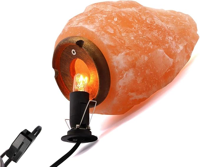 Himalayan Salt Lamp Cord with Gear Switch，Original Replacement Cord with Base Assembly with E12 Socket，Christmas Light Bulb,Himalayan Salt Lampsand with 6 Free Bulbs for Salt Lamp (1P)