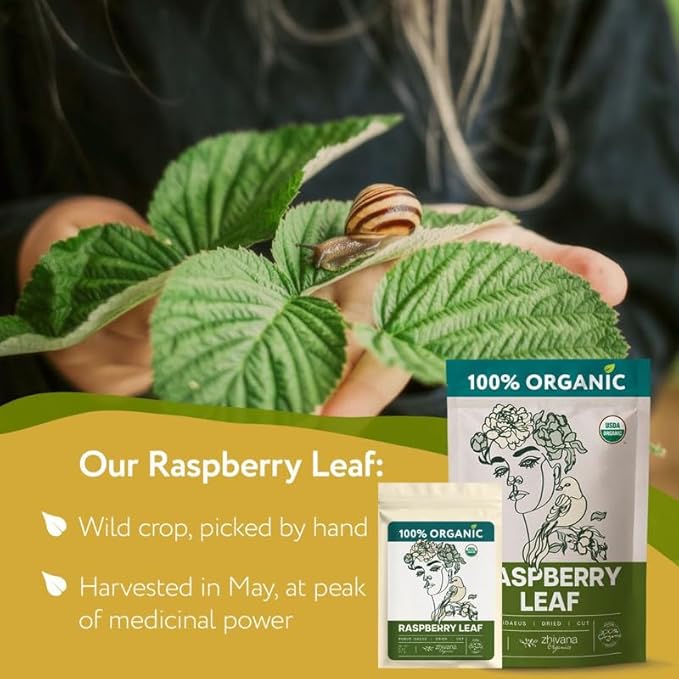 Red Raspberry Leaf Tea Organic – Loose Raspberry Leaves for PMS Symptom Relief, Healthy Women's Cycle, and Reproductive Health – 2 Ounces - Bloomnest
